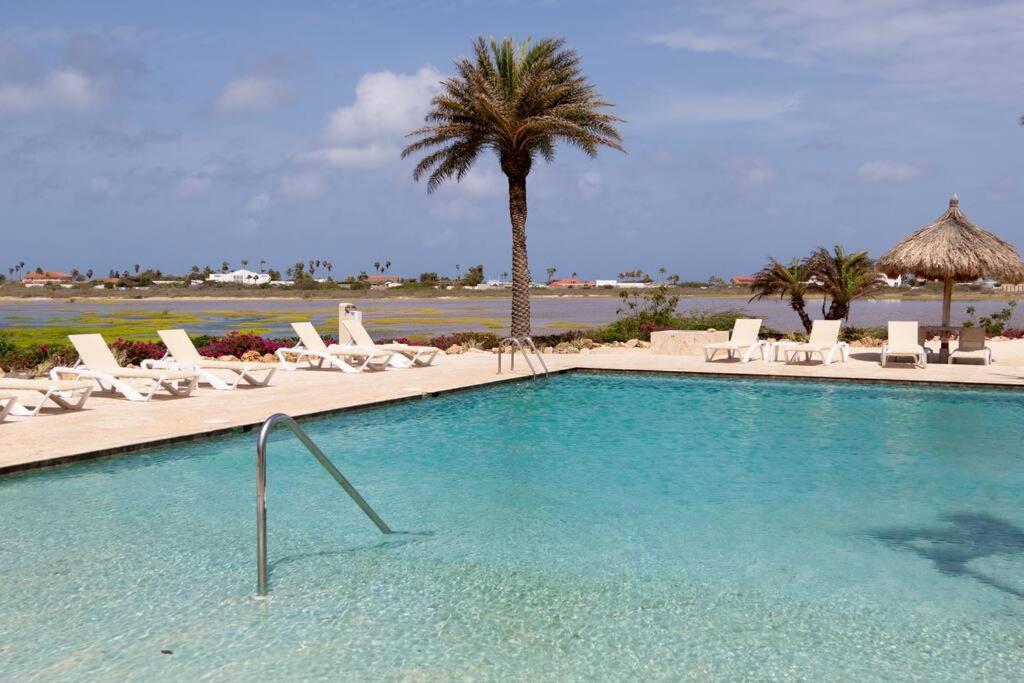 New! Cozy 1 Bedroom Condo- Gold Coast, Noord Aruba Palm Beach ภายนอก รูปภาพ